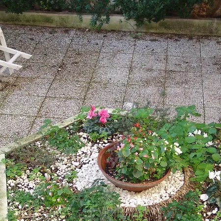 카사 토티 B&B 로마